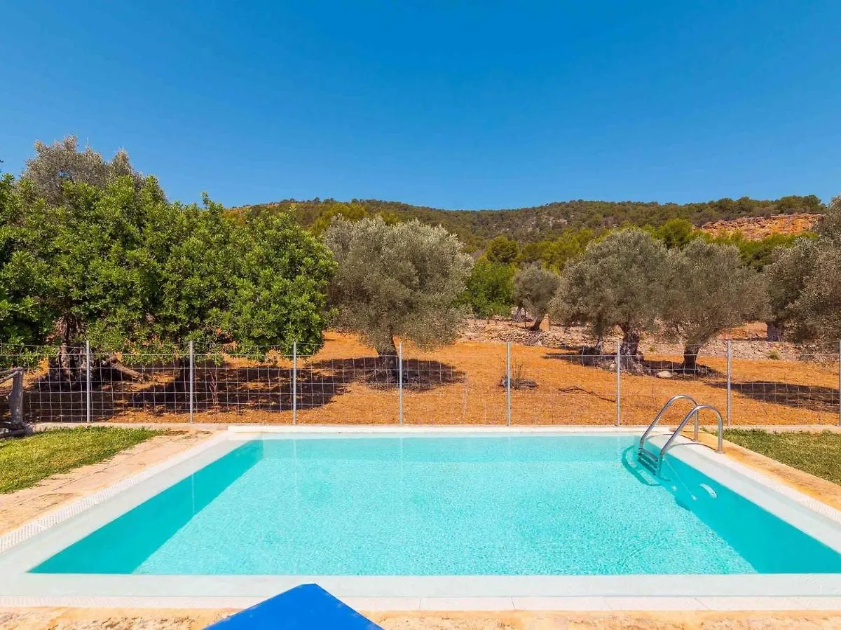 Can Pasos Selva  Spain