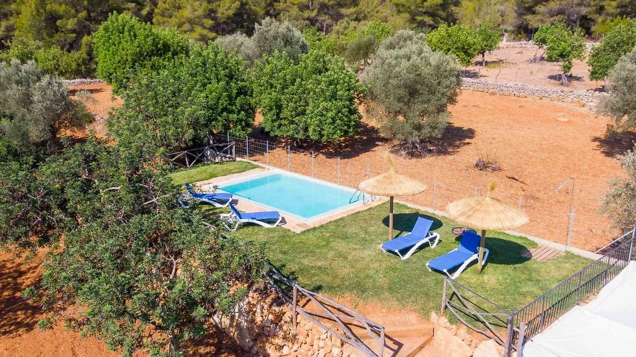 Can Pasos Selva  Spain